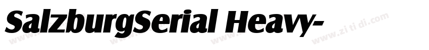 SalzburgSerial Heavy字体转换